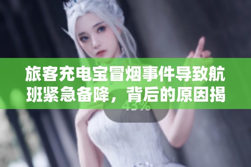 旅客充电宝冒烟事件导致航班紧急备降，背后的原因揭秘