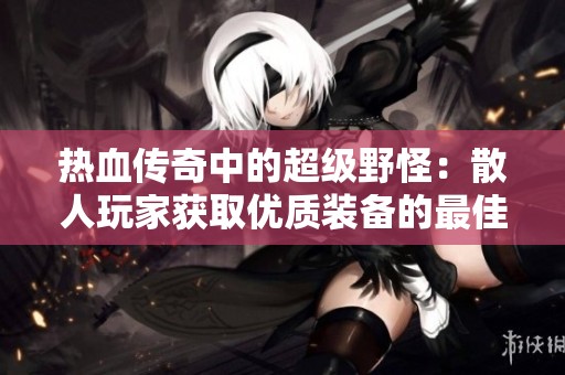 热血传奇中的超级野怪：散人玩家获取优质装备的最佳选择！
