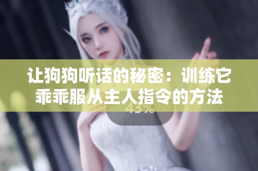 让狗狗听话的秘密：训练它乖乖服从主人指令的方法
