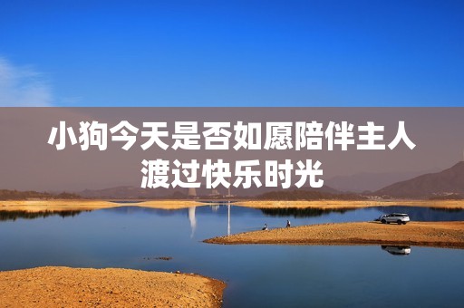 小狗今天是否如愿陪伴主人渡过快乐时光
