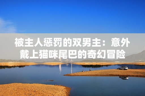 被主人惩罚的双男主：意外戴上猫咪尾巴的奇幻冒险