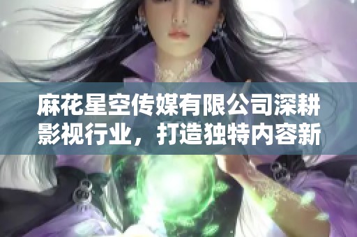 麻花星空传媒有限公司深耕影视行业，打造独特内容新体验