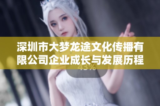 深圳市大梦龙途文化传播有限公司企业成长与发展历程探究