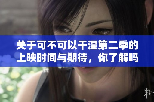 关于可不可以干湿第二季的上映时间与期待，你了解吗