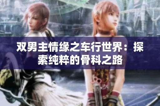 双男主情缘之车行世界：探索纯粹的骨科之路