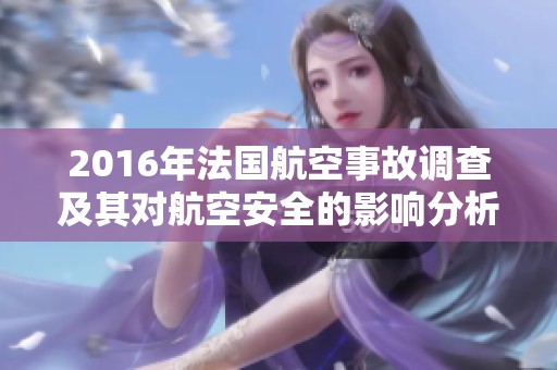 2016年法国航空事故调查及其对航空安全的影响分析