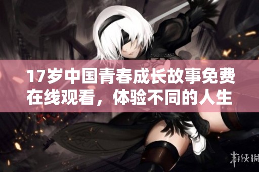 17岁中国青春成长故事免费在线观看，体验不同的人生旅程