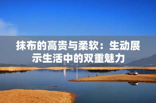抹布的高贵与柔软：生动展示生活中的双重魅力