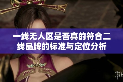 一线无人区是否真的符合二线品牌的标准与定位分析
