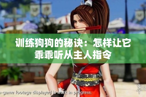 训练狗狗的秘诀：怎样让它乖乖听从主人指令