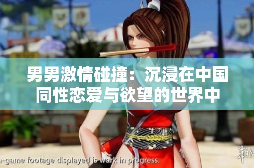 男男激情碰撞：沉浸在中国同性恋爱与欲望的世界中