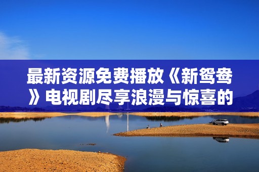 最新资源免费播放《新鸳鸯》电视剧尽享浪漫与惊喜的精彩故事