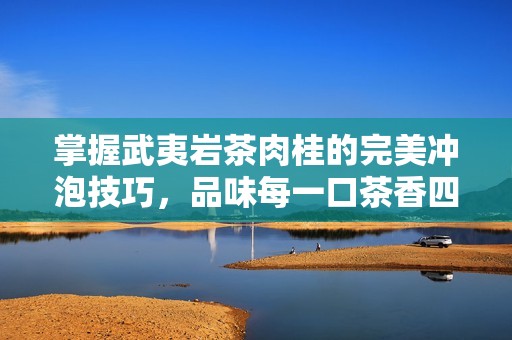 掌握武夷岩茶肉桂的完美冲泡技巧，品味每一口茶香四溢的秘诀