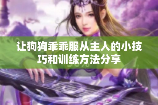 让狗狗乖乖服从主人的小技巧和训练方法分享