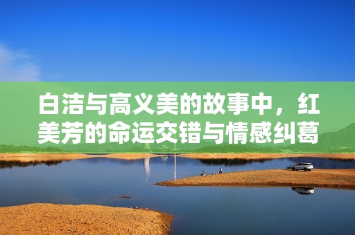 白洁与高义美的故事中，红美芳的命运交错与情感纠葛