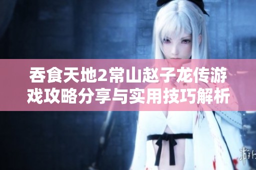 吞食天地2常山赵子龙传游戏攻略分享与实用技巧解析