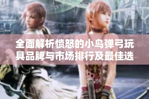 全面解析愤怒的小鸟弹弓玩具品牌与市场排行及最佳选择图片展示