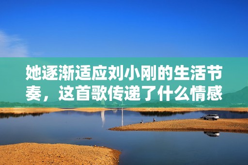 她逐渐适应刘小刚的生活节奏，这首歌传递了什么情感