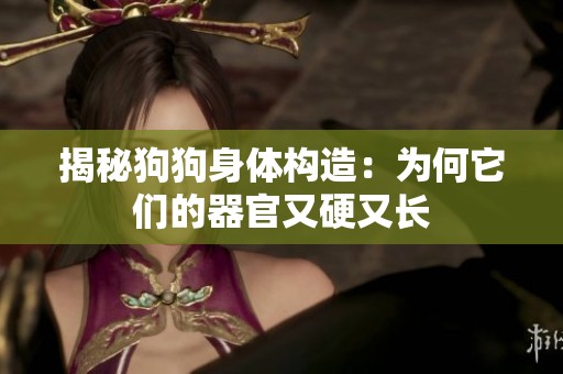 揭秘狗狗身体构造：为何它们的器官又硬又长