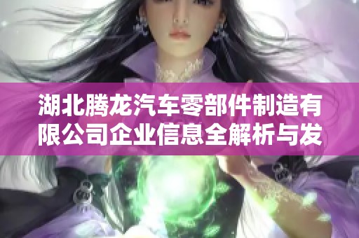 湖北腾龙汽车零部件制造有限公司企业信息全解析与发展展望