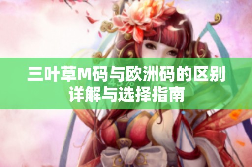 三叶草M码与欧洲码的区别详解与选择指南