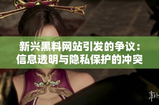 新兴黑料网站引发的争议：信息透明与隐私保护的冲突