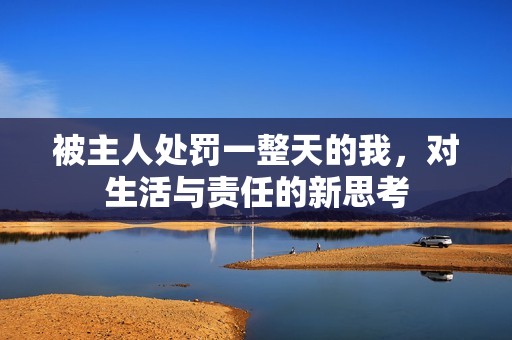 被主人处罚一整天的我，对生活与责任的新思考
