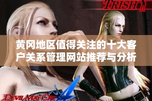 黄冈地区值得关注的十大客户关系管理网站推荐与分析