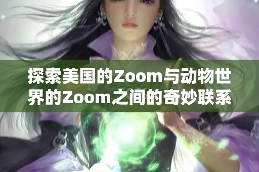 探索美国的Zoom与动物世界的Zoom之间的奇妙联系