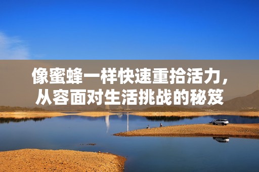 像蜜蜂一样快速重拾活力，从容面对生活挑战的秘笈