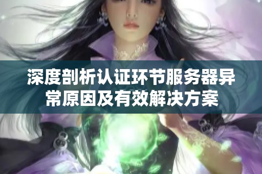 深度剖析认证环节服务器异常原因及有效解决方案