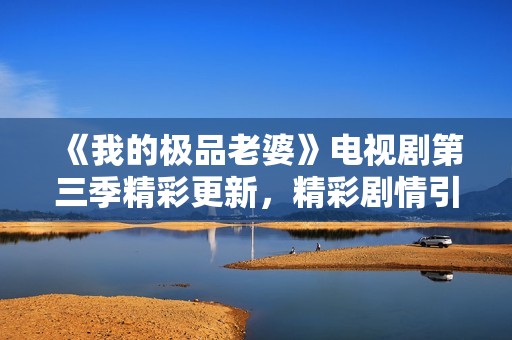 《我的极品老婆》电视剧第三季精彩更新，精彩剧情引人入胜