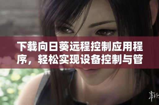 下载向日葵远程控制应用程序，轻松实现设备控制与管理