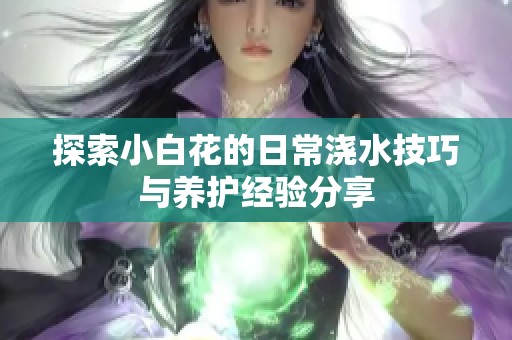 探索小白花的日常浇水技巧与养护经验分享