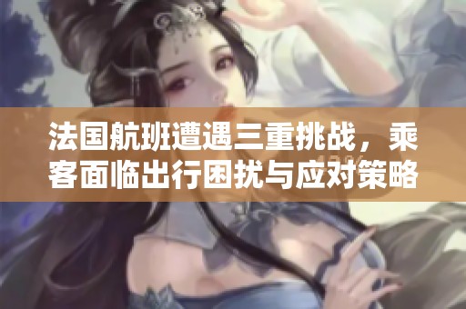 法国航班遭遇三重挑战，乘客面临出行困扰与应对策略