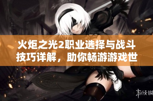 火炬之光2职业选择与战斗技巧详解，助你畅游游戏世界