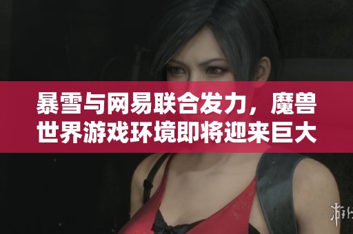 暴雪与网易联合发力，魔兽世界游戏环境即将迎来巨大变革