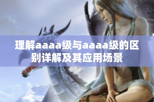 理解aaaa级与aaaa级的区别详解及其应用场景