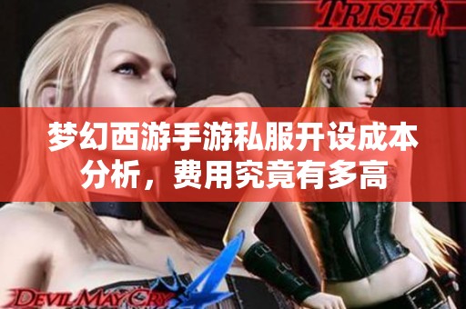 梦幻西游手游私服开设成本分析，费用究竟有多高