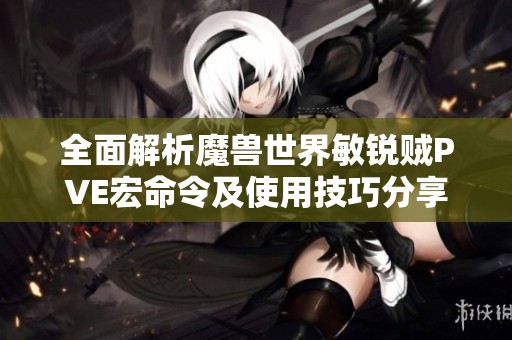 全面解析魔兽世界敏锐贼PVE宏命令及使用技巧分享