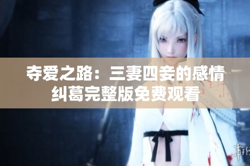 夺爱之路：三妻四妾的感情纠葛完整版免费观看