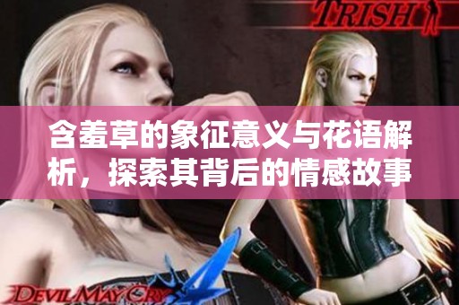 含羞草的象征意义与花语解析，探索其背后的情感故事