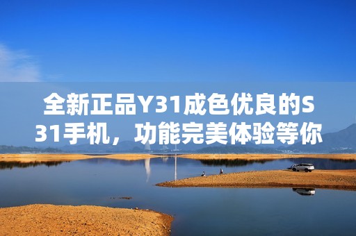全新正品Y31成色优良的S31手机，功能完美体验等你来享受