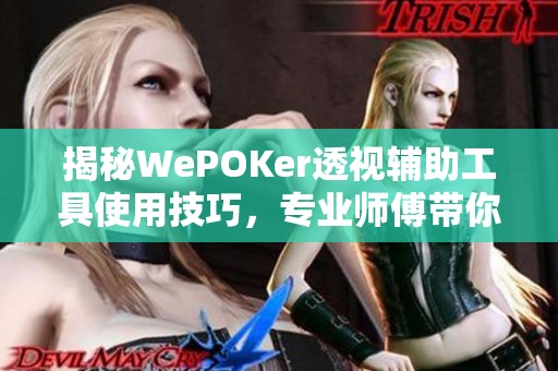 揭秘WePOKer透视辅助工具使用技巧，专业师傅带你深入了解