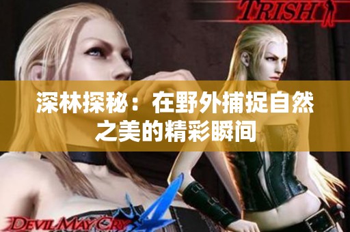 深林探秘：在野外捕捉自然之美的精彩瞬间