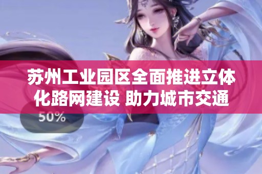 苏州工业园区全面推进立体化路网建设 助力城市交通升级发展