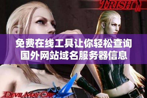 免费在线工具让你轻松查询国外网站域名服务器信息