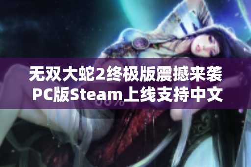 无双大蛇2终极版震撼来袭 PC版Steam上线支持中文