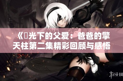 《盕光下的父爱：爸爸的擎天柱第二集精彩回顾与感悟》