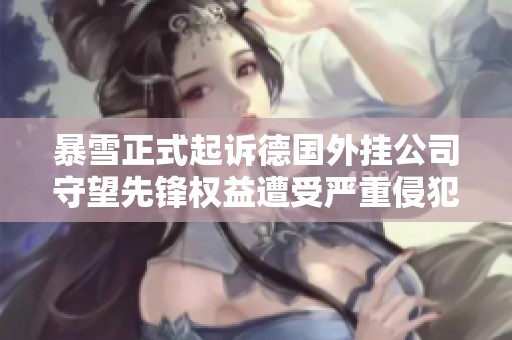 暴雪正式起诉德国外挂公司守望先锋权益遭受严重侵犯